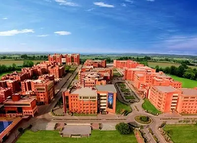 Amity University Online